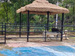 -金石滩蓝莓谷庄园