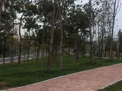 -郑州植物园