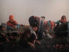 -江苏省美术馆(长江路新馆)