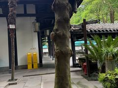 -王家渡火锅(三苏祠店)