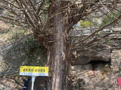 -大慈岩风景区