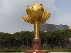 -金莲花广场