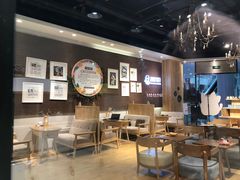 -藏猫猫咖啡主题馆(中央大道店)