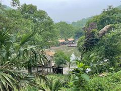 -长沙黑麋峰国家森林公园