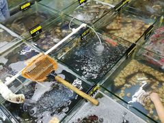 水产区-明记海鲜大排档(巽寮湾店)