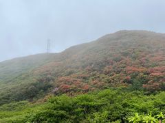-大围山国家森林公园
