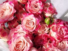 -循礼门鲜花花市(武汉循礼门店)