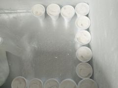 -洪馨椰子