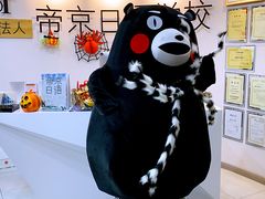 -帝京日语(春熙路旗舰校区)