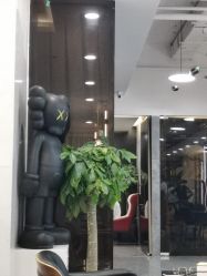 -AYO SALON