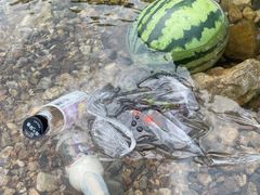 -北仑森林植物园