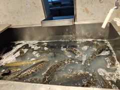 -周渝食惦酸菜鱼(青浦店)
