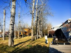 -禧园Joyous Garden ·宴会厅(禧园店)