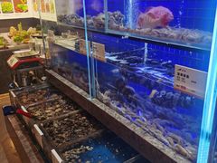 -船歌·鱼水饺青岛菜(黄岛珠江路店)