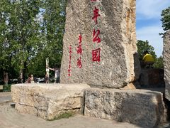 -泰丰公园