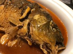 -阿五黄河大鲤鱼(英协路店)