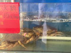 -渔中舟海鲜大排档(普陀沈家门店)