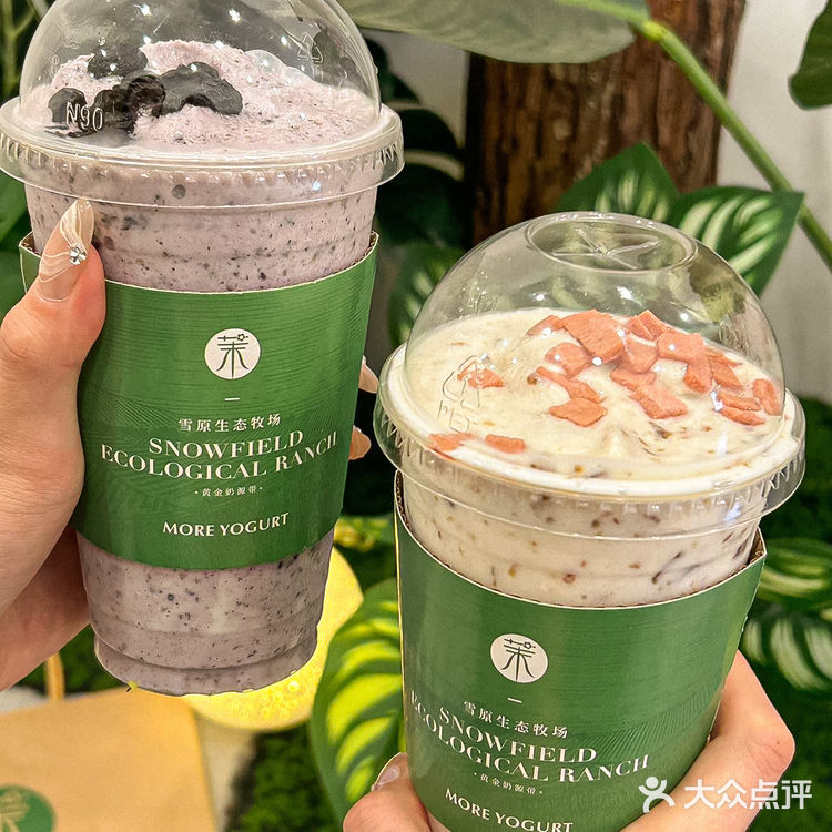 在泉州能让我连续喝一周的也只有茉酸奶了🔥