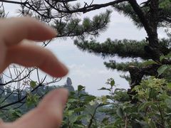 -黄山风景区