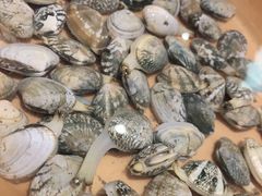 -龍歌自助小火锅(市南金茂湾店)