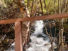 -叠溪松坪沟景区