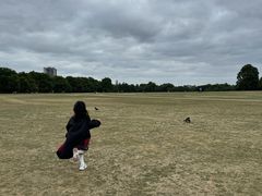 -海德公园