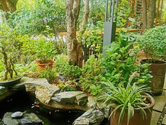 -谷咖啡·鲜花绿植花园餐厅