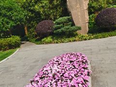 -徐家汇源景区-衡山公园