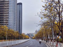 -洲头咀公园