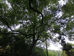 -杭州海华满陇度假酒店