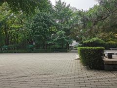 -玲珑塔公园