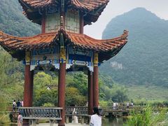 -靖西鹅泉风景区