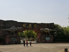 -上海海湾国家森林公园