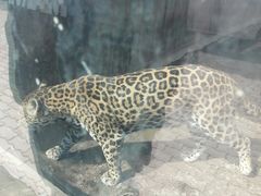 -新疆天山野生动物园