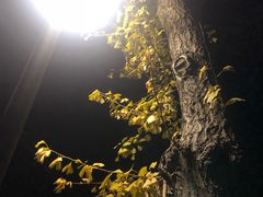 -南京特殊教育师范学院(燕子矶校区)