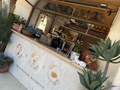 -Sirena海妖日咖夜酒