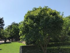 -云峰山自然风景区