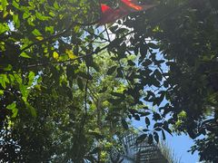 -呀诺达热带雨林
