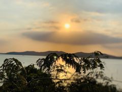 -上海市保健医疗中心