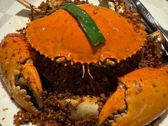 -喜记避风塘炒辣蟹(旗舰店)