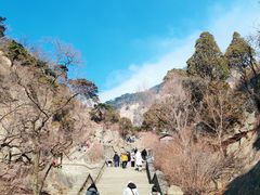 -泰山风景名胜区