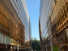 -香港皇家太平洋酒店