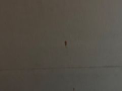 -大同云冈美高大酒店