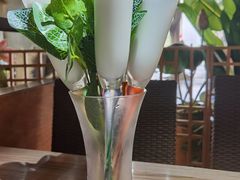 -探窝·竹笙椰子鸡(杨箕店)