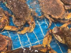 -新丁香海鲜酒店(银海商贸城店)