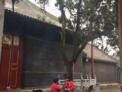 -关林