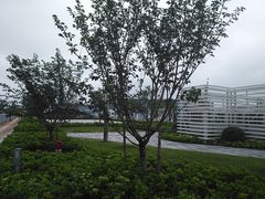 -碧海金沙