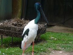 -费瑟代尔野生动物园