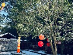 -宁波五龙潭景区