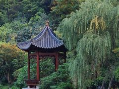 -云溪植物园